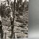 Silver gelatin photograph by Bernard Darot, Dead Tree, 20th century