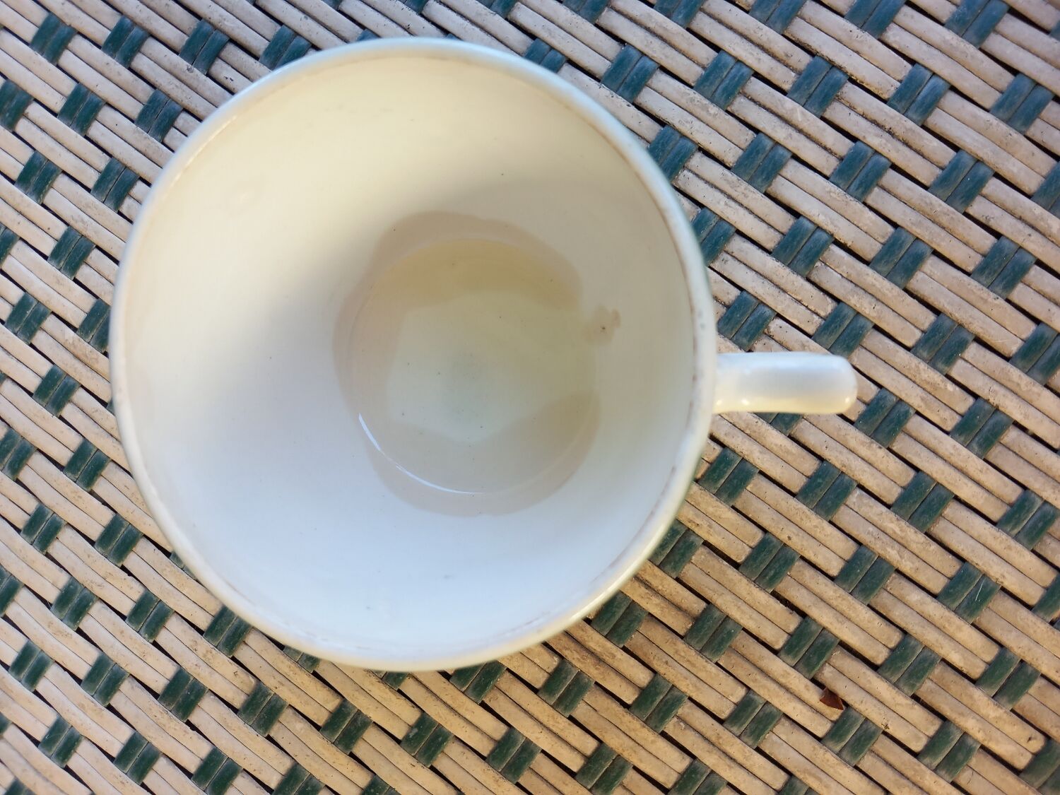 Cup