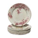 8 flat plates iron earth model Anémone by Bertrand Bordeaux