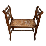 Cane armchair
