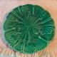 Two old majolica plates