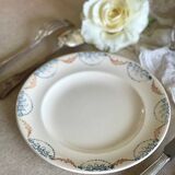 9 mismatched blue ironstone plates