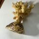 Ancient sculpture coral shell and hyppocampe souvenir vintage pacific
