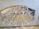 Lot of 11 crystal digestive glasses
