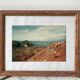Vintage film photography