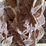 Sand rose - minerals - 2.5 kilos