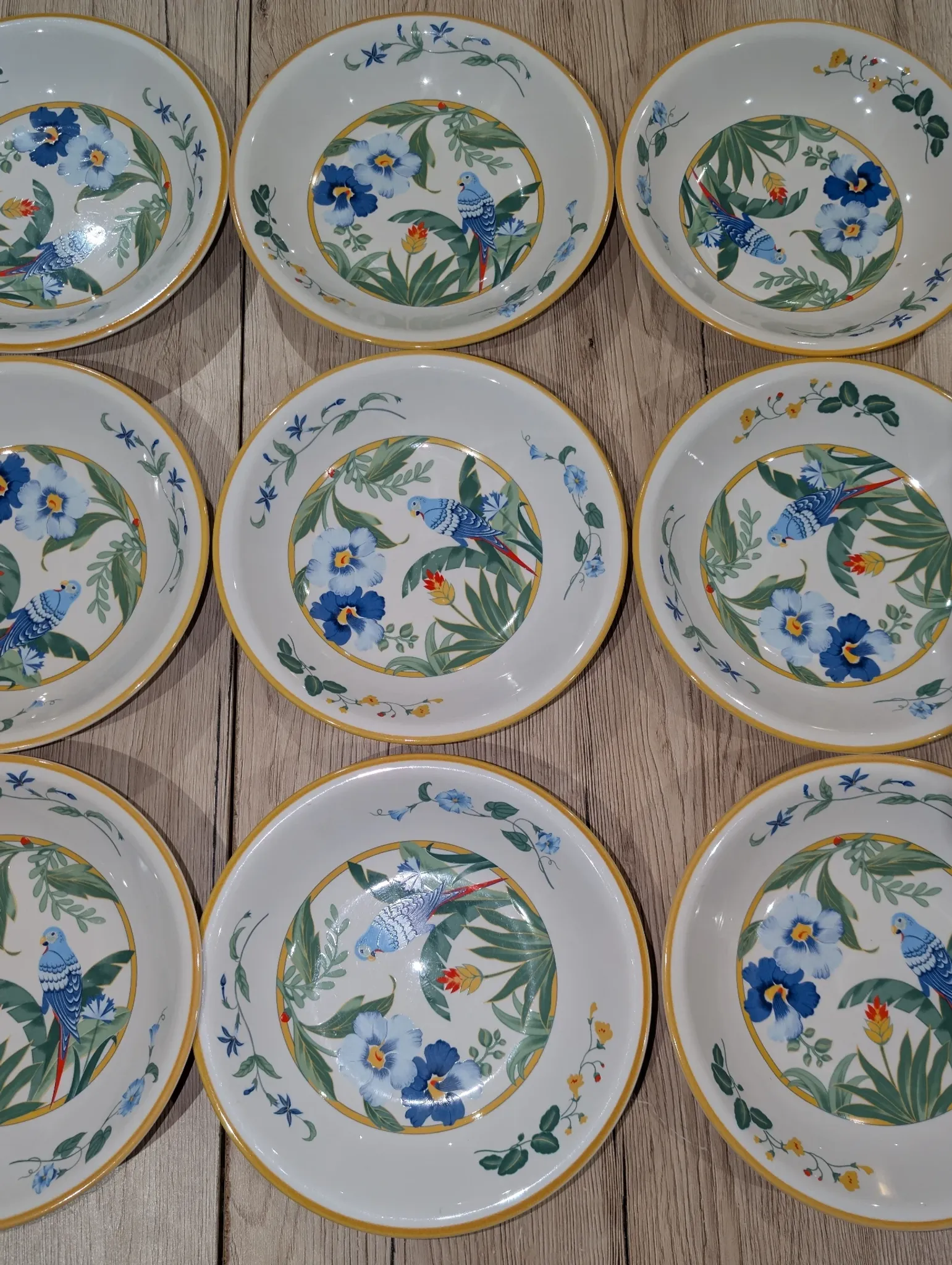 Lot 9 Deep Plates Porcelain Japan ARA S 933 Parrot & F Decor