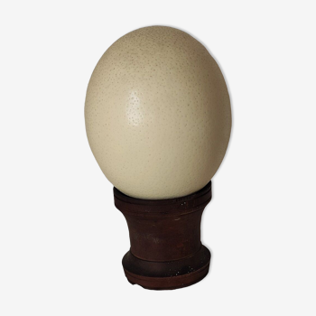 Ostrich egg on wooden base