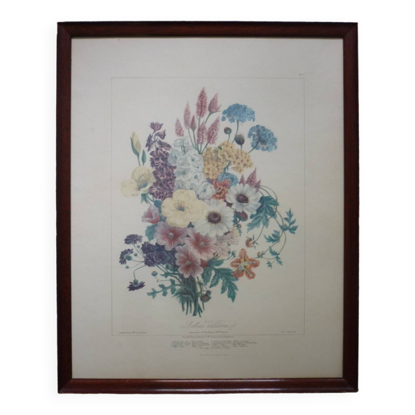 Lithographie Vilmorin encadrée, bouquet No 7, 1857, E. Champin — Beyit