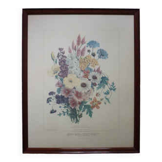 Framed Vilmorin lithograph, bouquet No 7, 1857, E. Champin