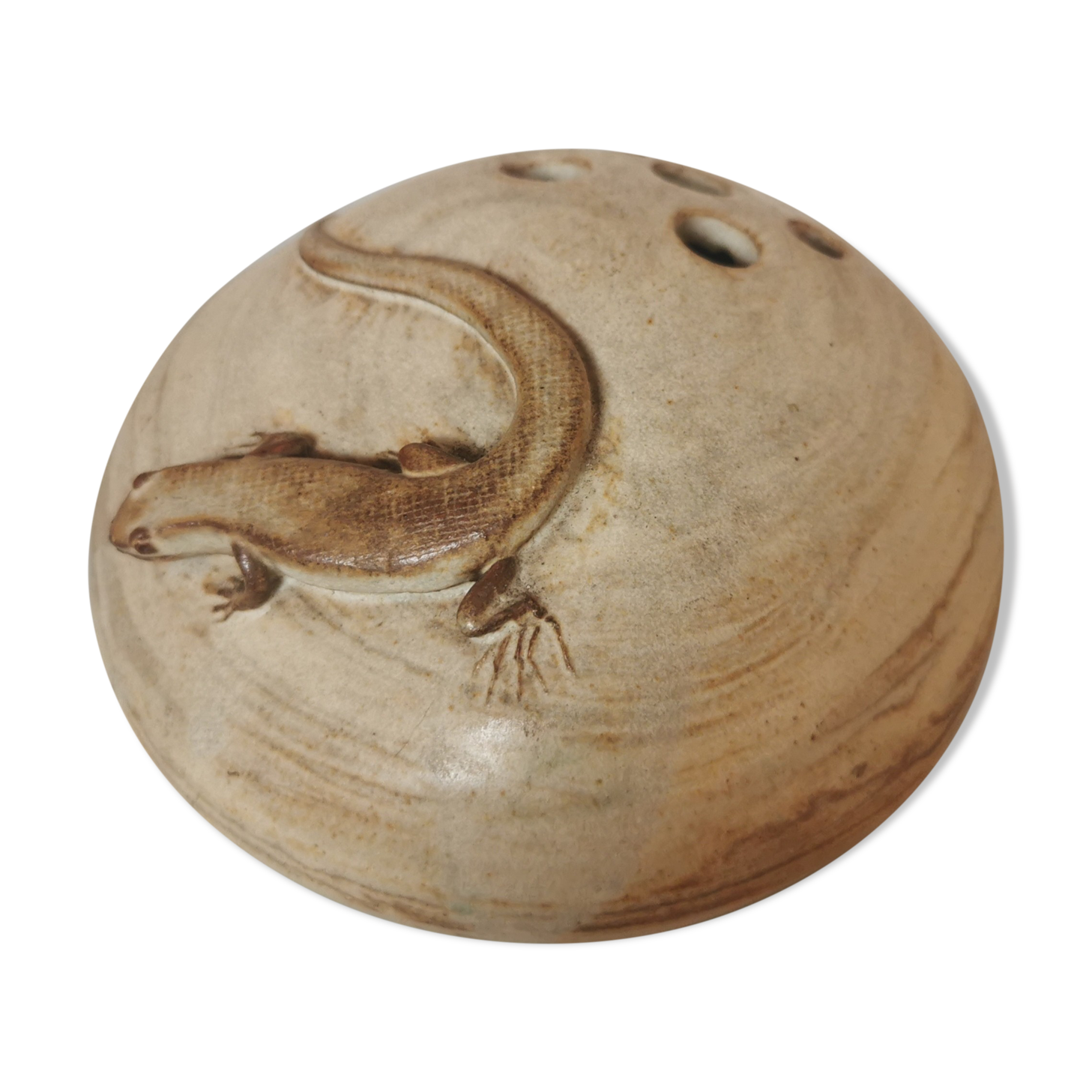 Pique flowers sandstone lizard