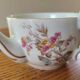 Antique porcelain duck mug for the sick