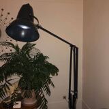 Giant 1227 floor lamp anglepoise / george carwardine