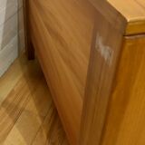 Maison Regain's dresser, France, 1970