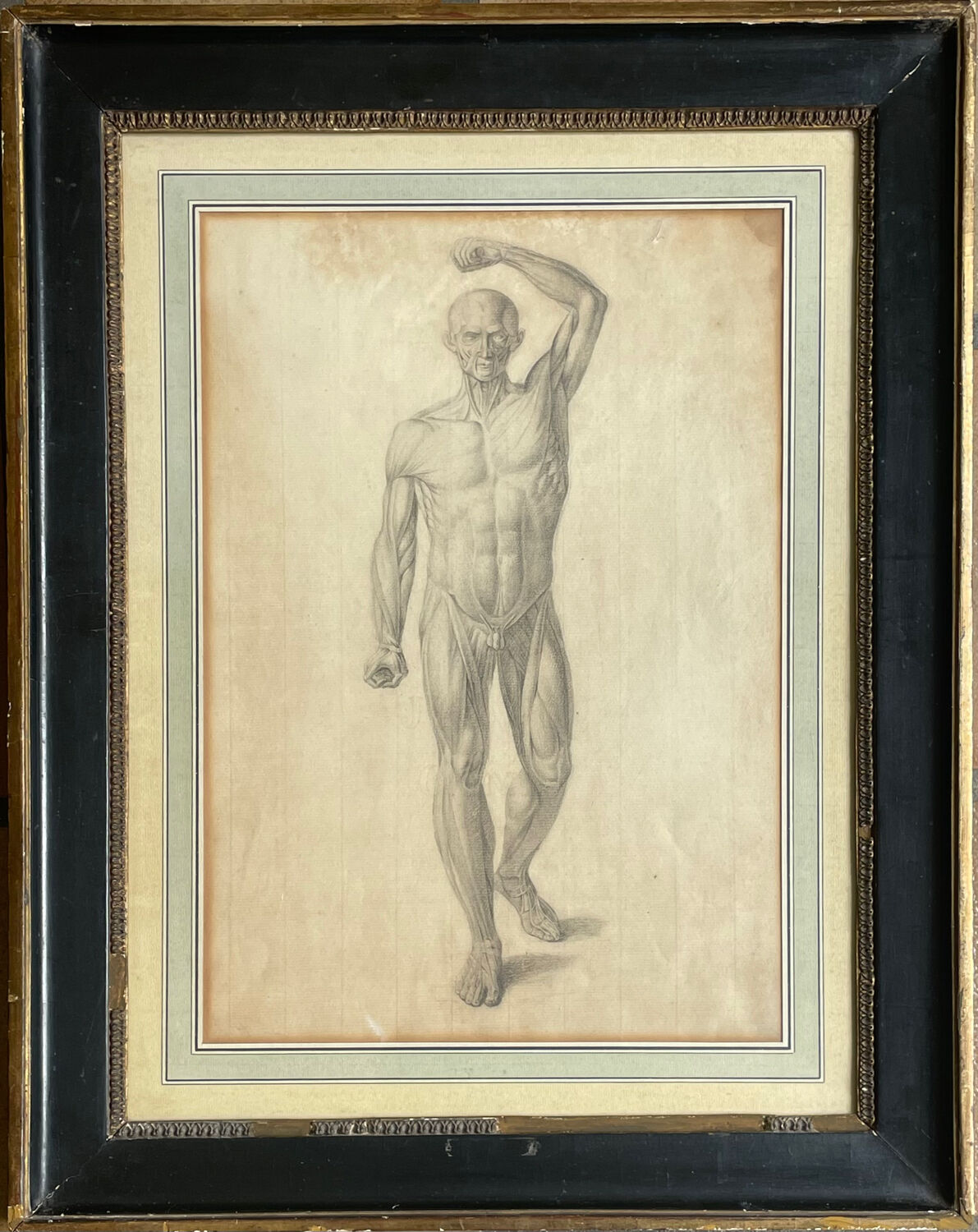 Tableau dessin ancien homme écorché Anatomie XVIIIe