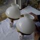 Pair of porcelain brass sconces