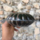 Butter dish/pocket tray • shell, vintage