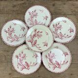 Set of 6 dinner plates models Cactus de Gien