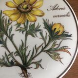 Bonbonnière Villeroy & Boch