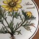 Bonbonnière Villeroy & Boch
