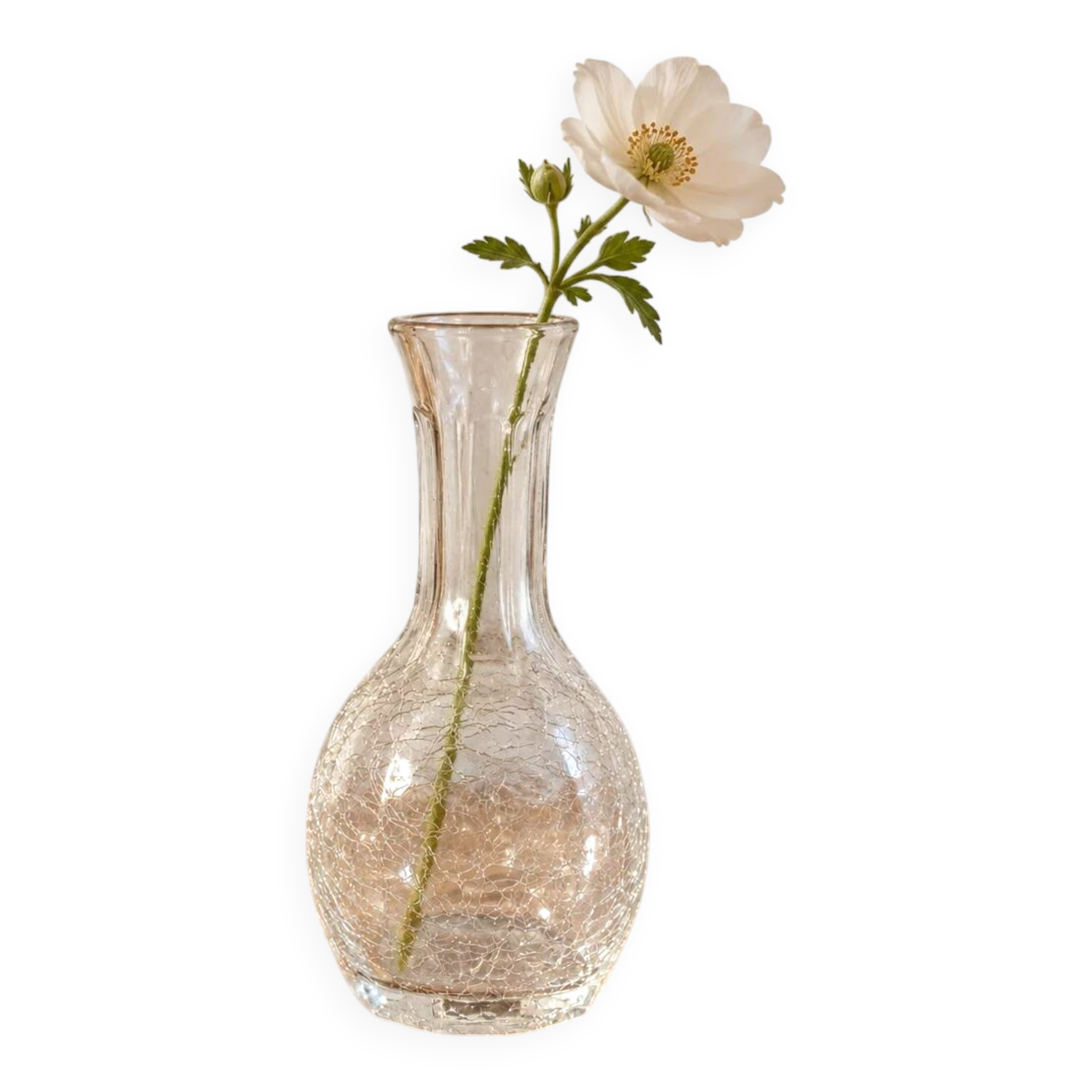 Small vintage soliflore vase in cracked transparent glass – H 17 cm