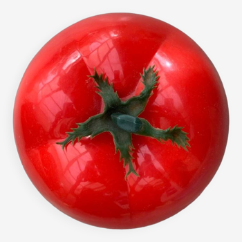 Sceau à glaçons en forme de tomate