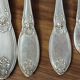 Old housewife 37 pieces silver metal/silverware boulenger