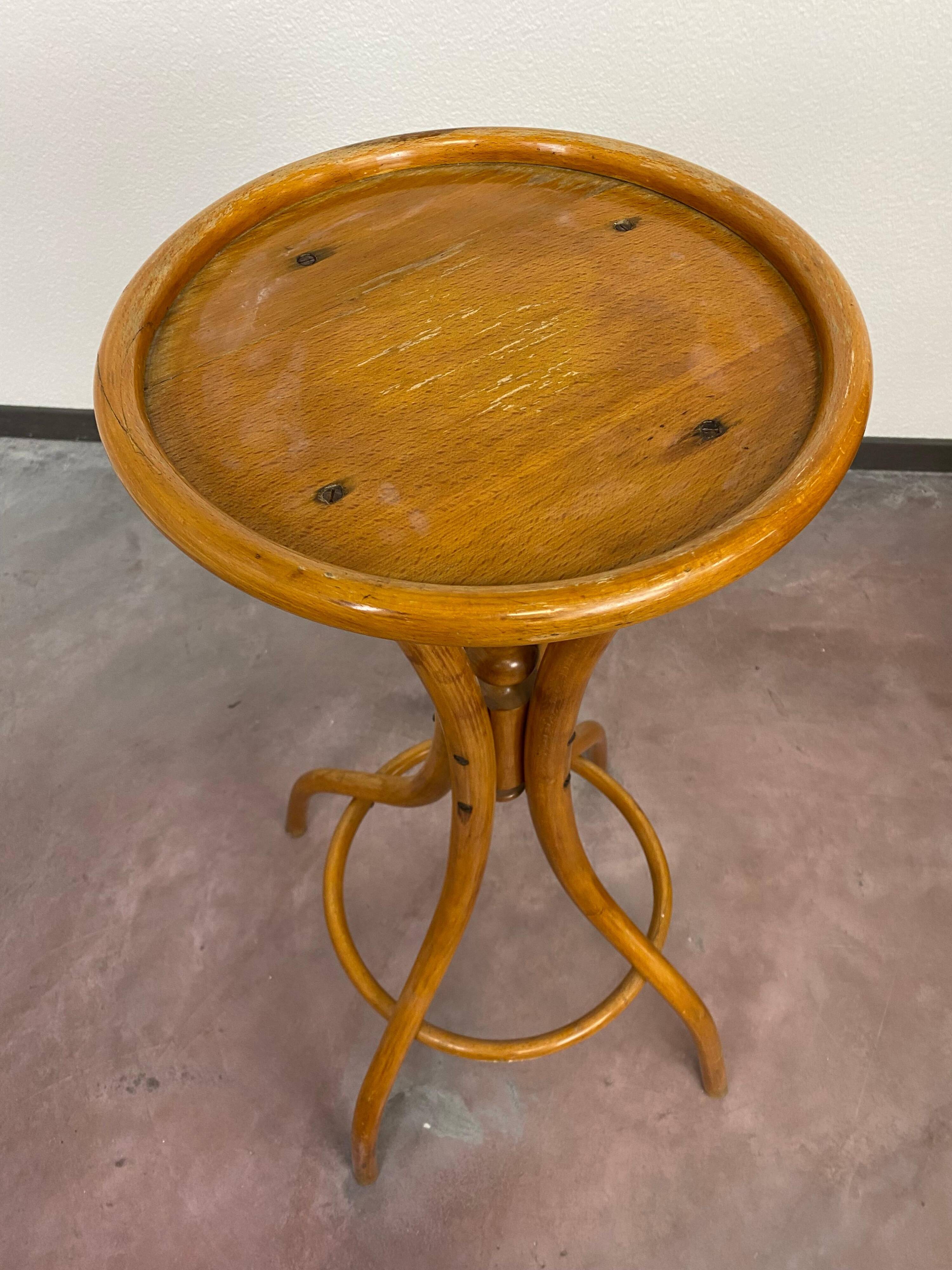 Plant support by Thonet
