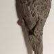 Decorative cast iron parrot