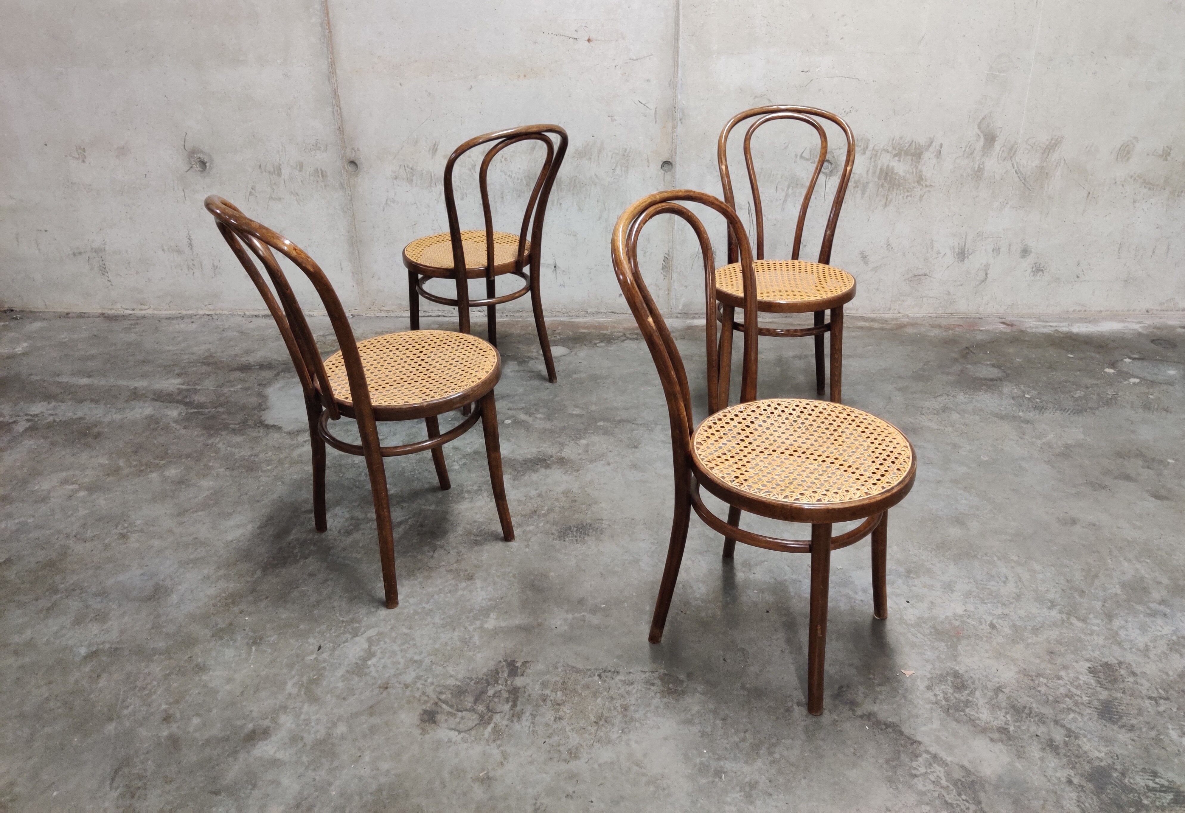 Dining chairs by zpm radomsko, 1950s