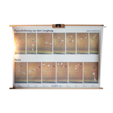 "Sports" published by Paul Sappl Austria 1968 poster