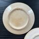 Pair of bird decorated dishes