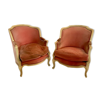 Pair of armchairs in wood and velvet, early 20th century