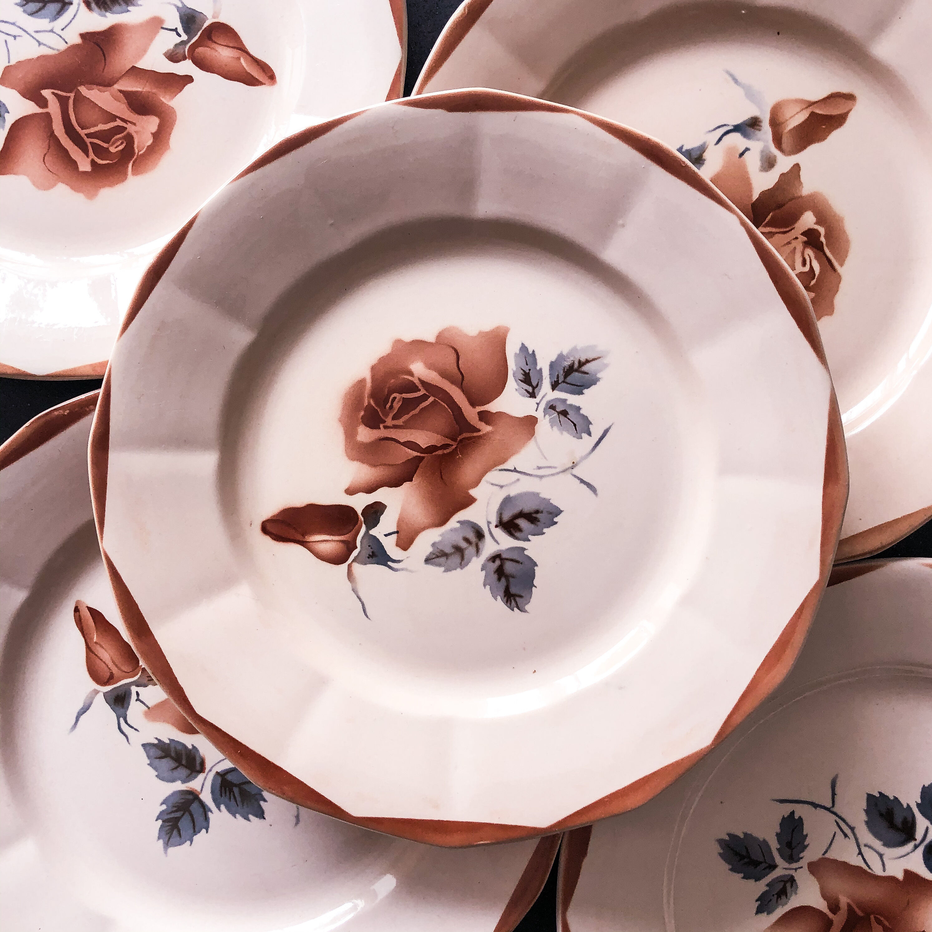 5 flat plates digoin sarreguemines