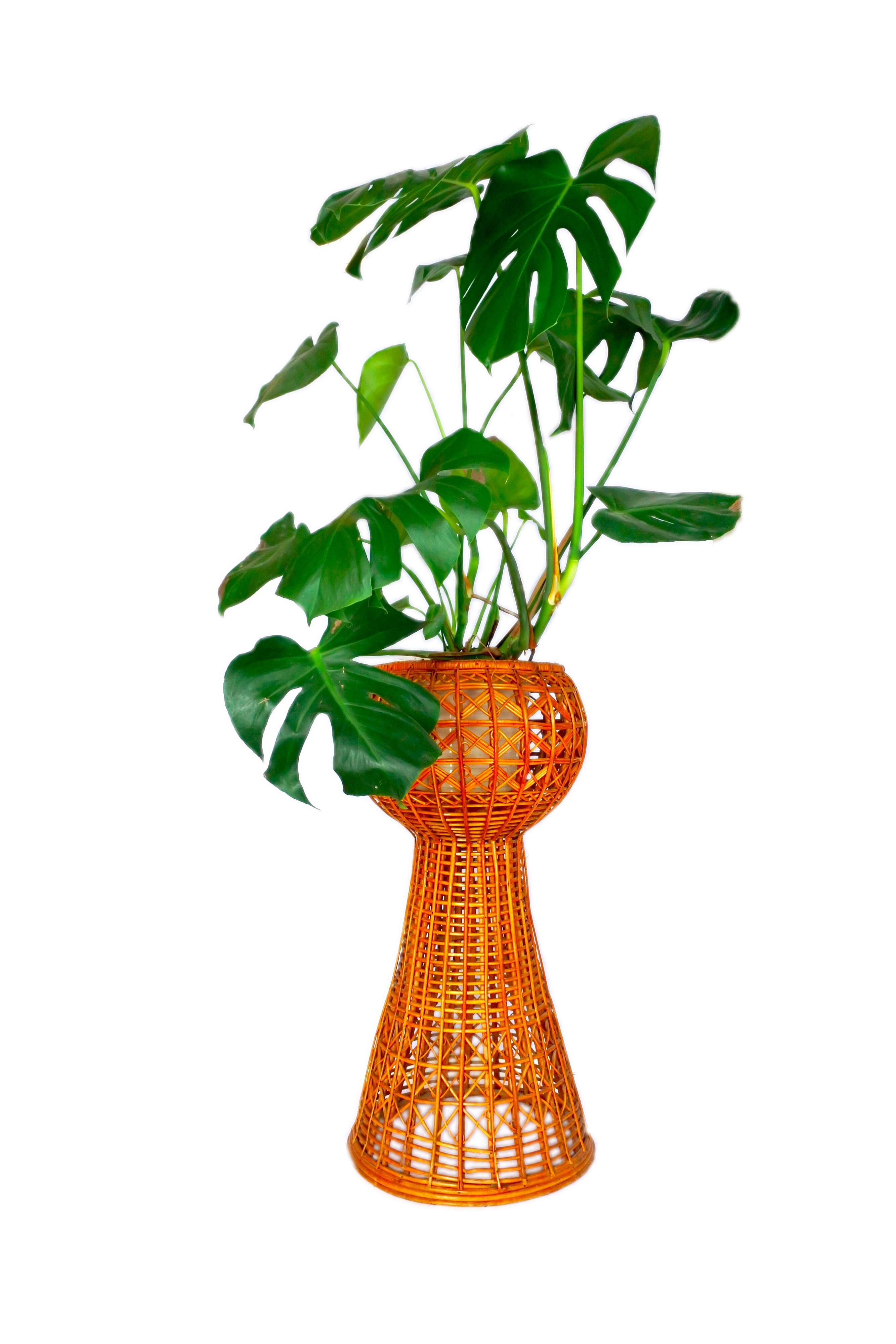 Rattan plant stand