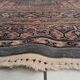 Handmade Pakistani rug 297x190cm