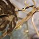 Glass and brass suspension