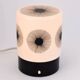Atomic Age Dandelion Table Lamp by Erco Leuchten