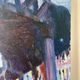 Metro Stalingrad in Paris, oil on canvas signed Patrice Landauer