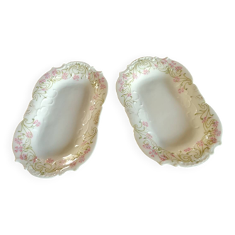 Duo of old dishes