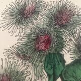 English botanical boards 1878 edition