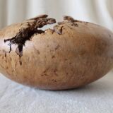 Mike Mahoney, Maple Burl Sculpture Vase, 28cm, Very Good Condition