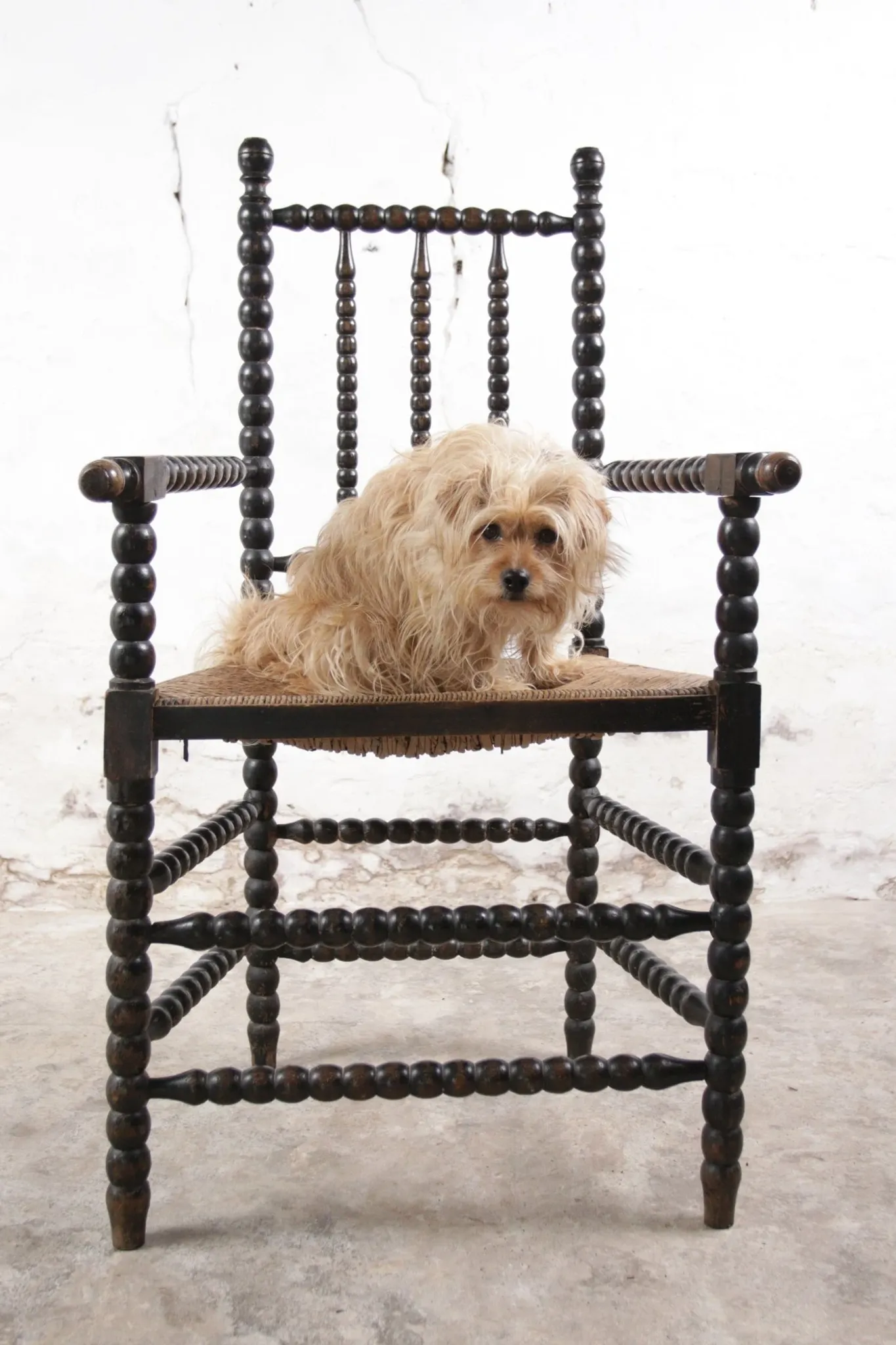 Black bobbin chair with armrests and rush seat – ca. 1900-1930