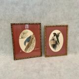 Set of 2 bird prints