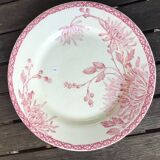 Deep plates “Turennes” Creil et Montereau