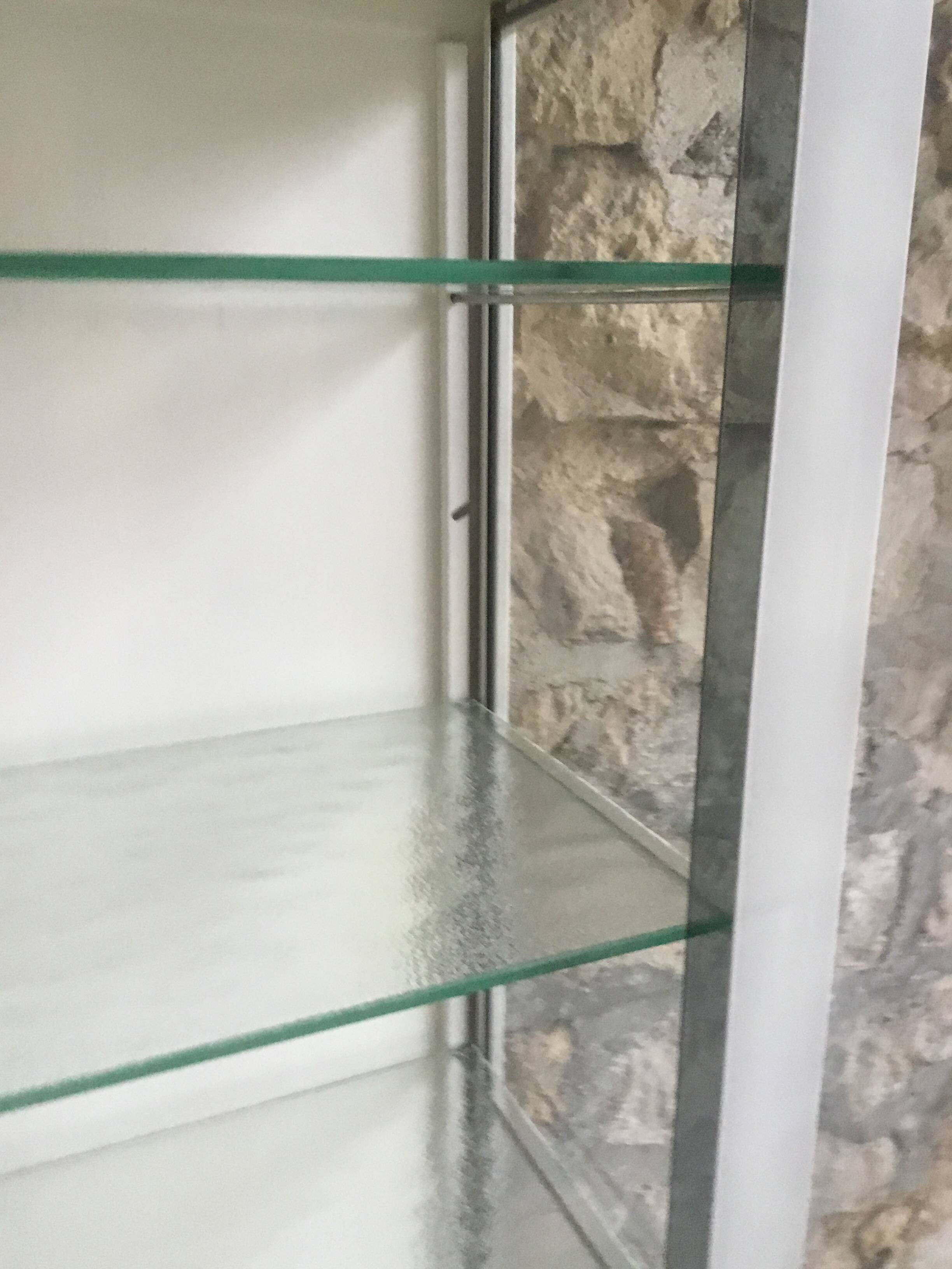 White lacquered metal medical display case - vintage 1960