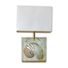 Table lamp inclusion shell nautile