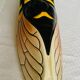 Vallauris ceramic bee signed Ferlay