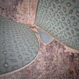 12-petal rattan and sage embroidery pendant light + vintage globe