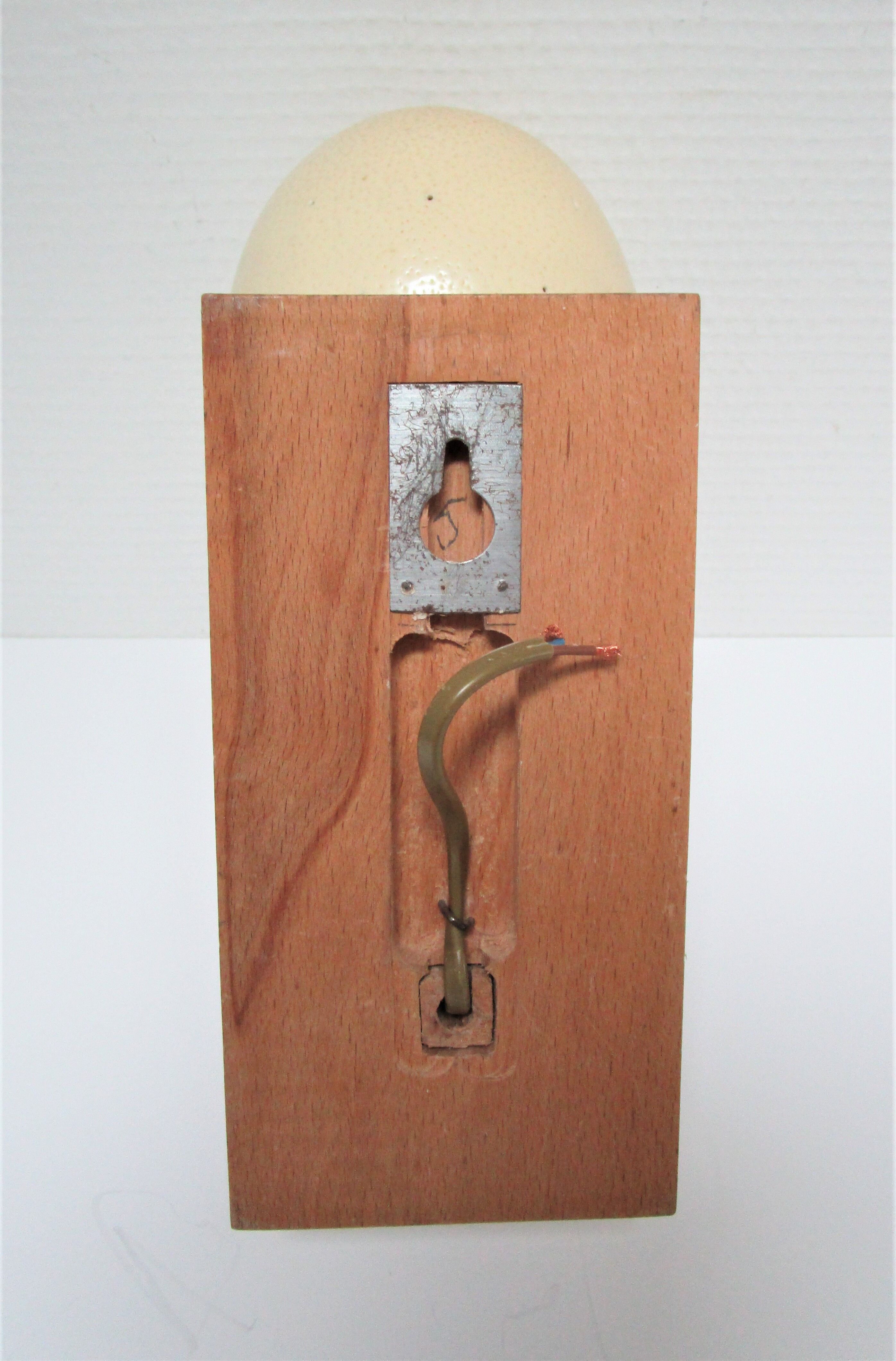 Ostrich egg wall lamp and vintage wood